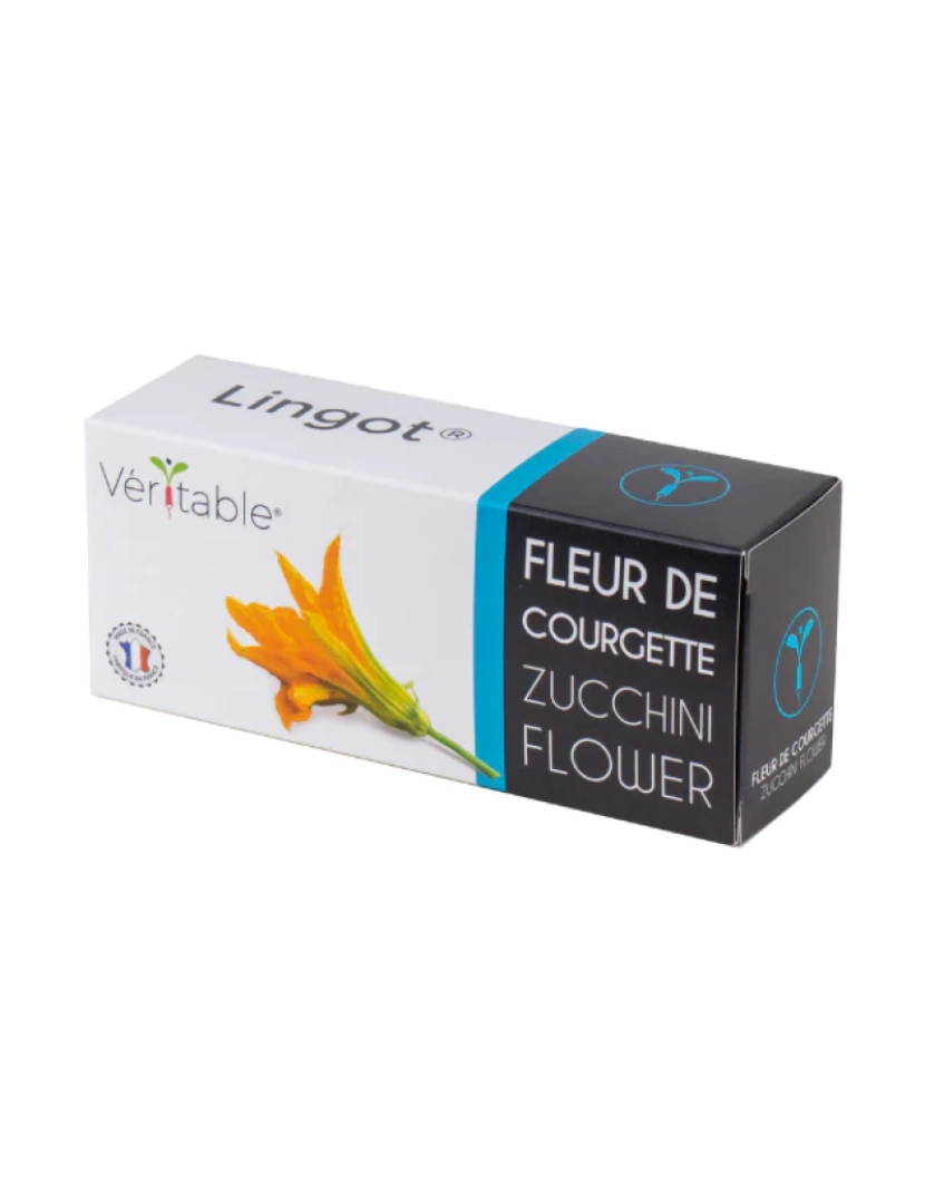 Lingots - Flor de Courgette Lingots® - Flores Comestíveis