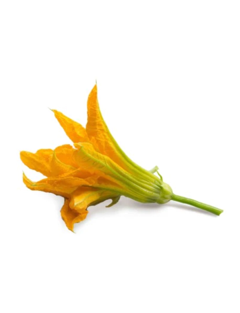 imagem de Flor de Courgette Lingots® - Flores Comestíveis2