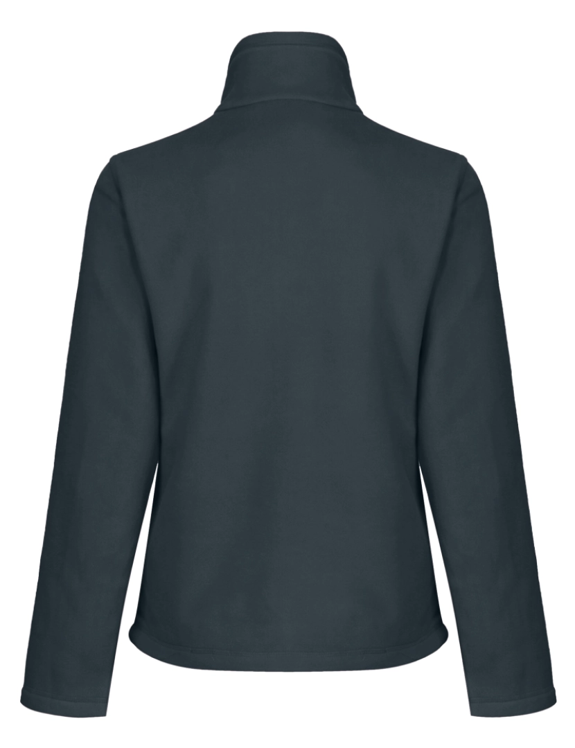 imagem de Regatta Womens/Ladies Full-Zip 210 Series Microfleece Casaco2