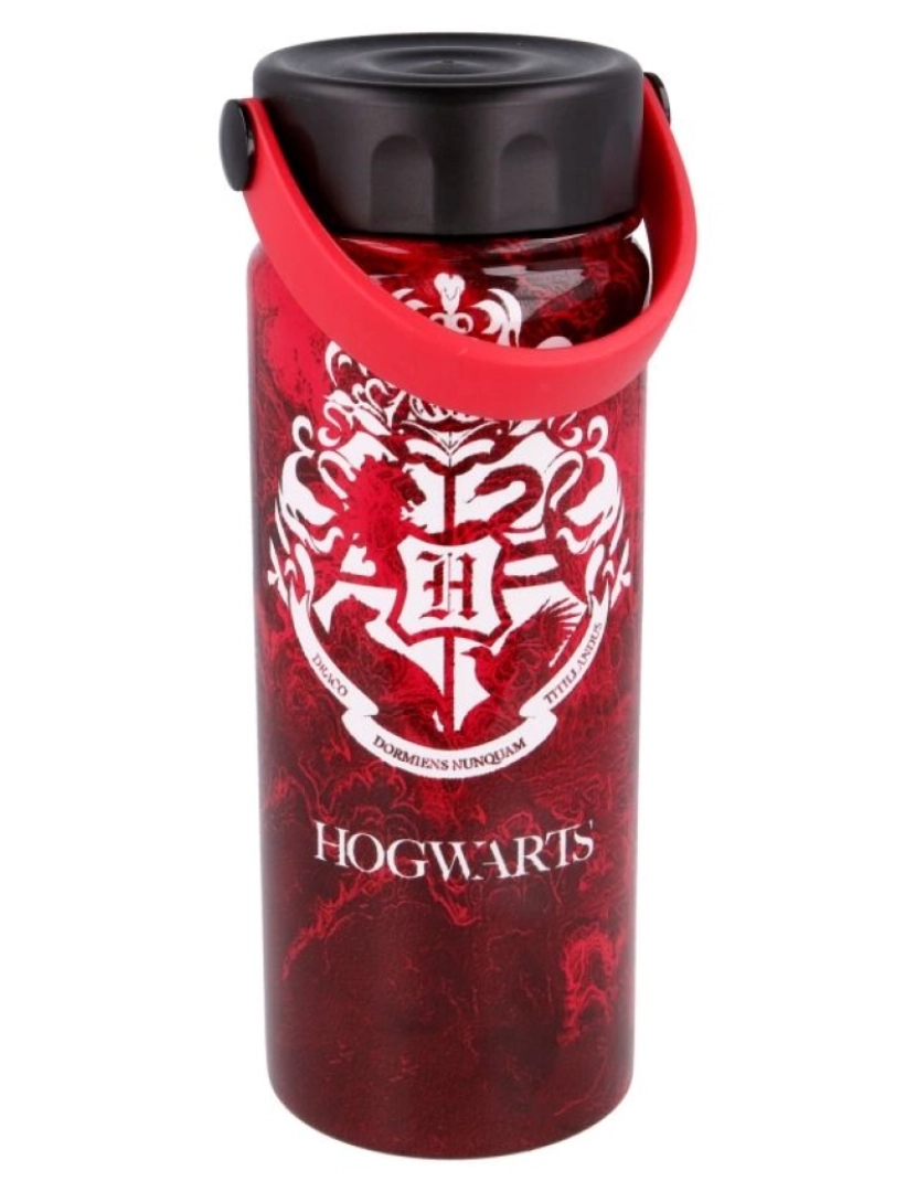 imagem de Garrafa térmica Harry Potter com alça 530ml2