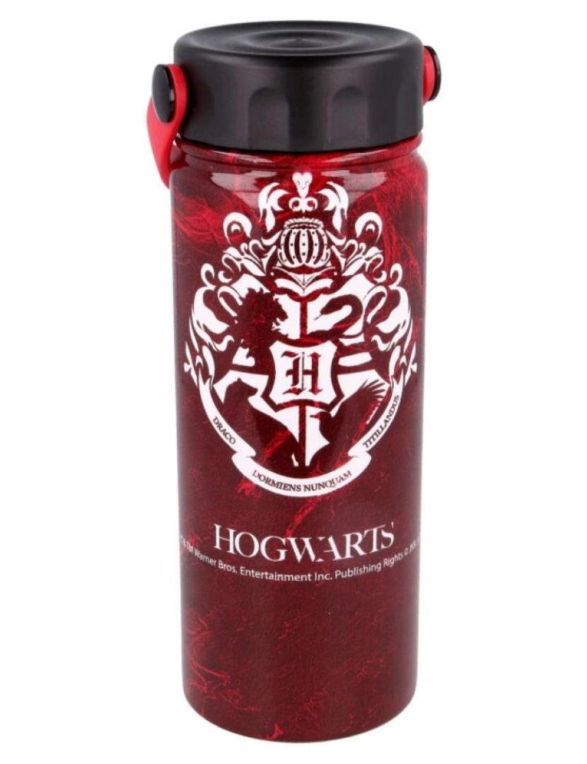 imagem de Garrafa térmica Harry Potter com alça 530ml3