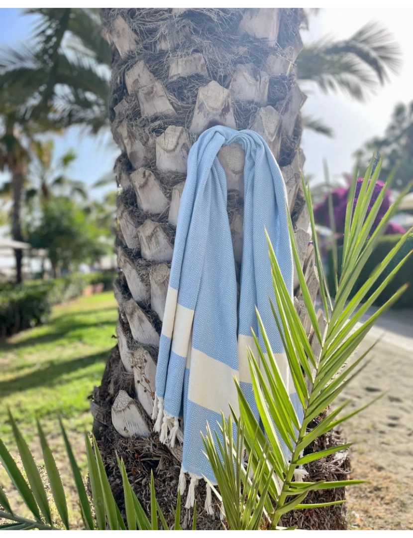 imagem de Beachie Cannes azul bebê6
