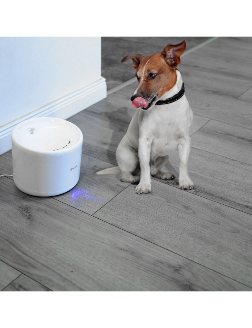 imagem de Dispensador de Água para Animais de Estimação Tellur Smart Wifi 2L Branco2