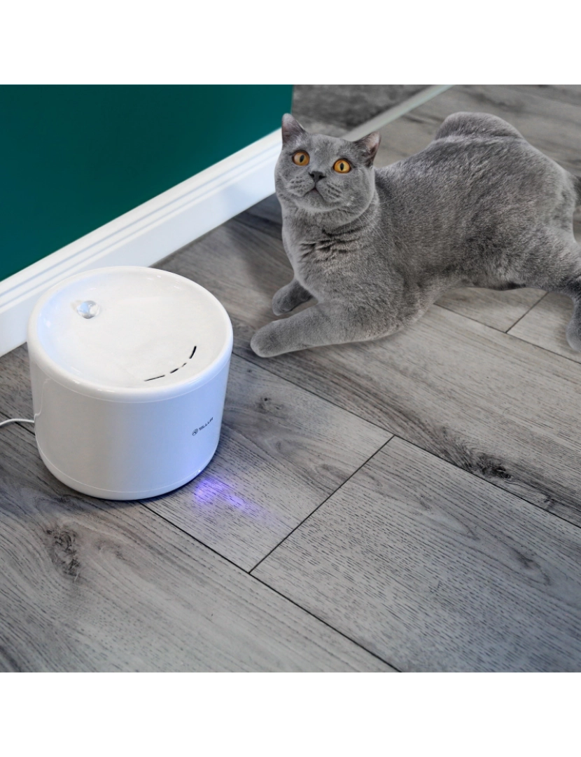 imagem de Dispensador de Água para Animais de Estimação Tellur Smart Wifi 2L Branco3