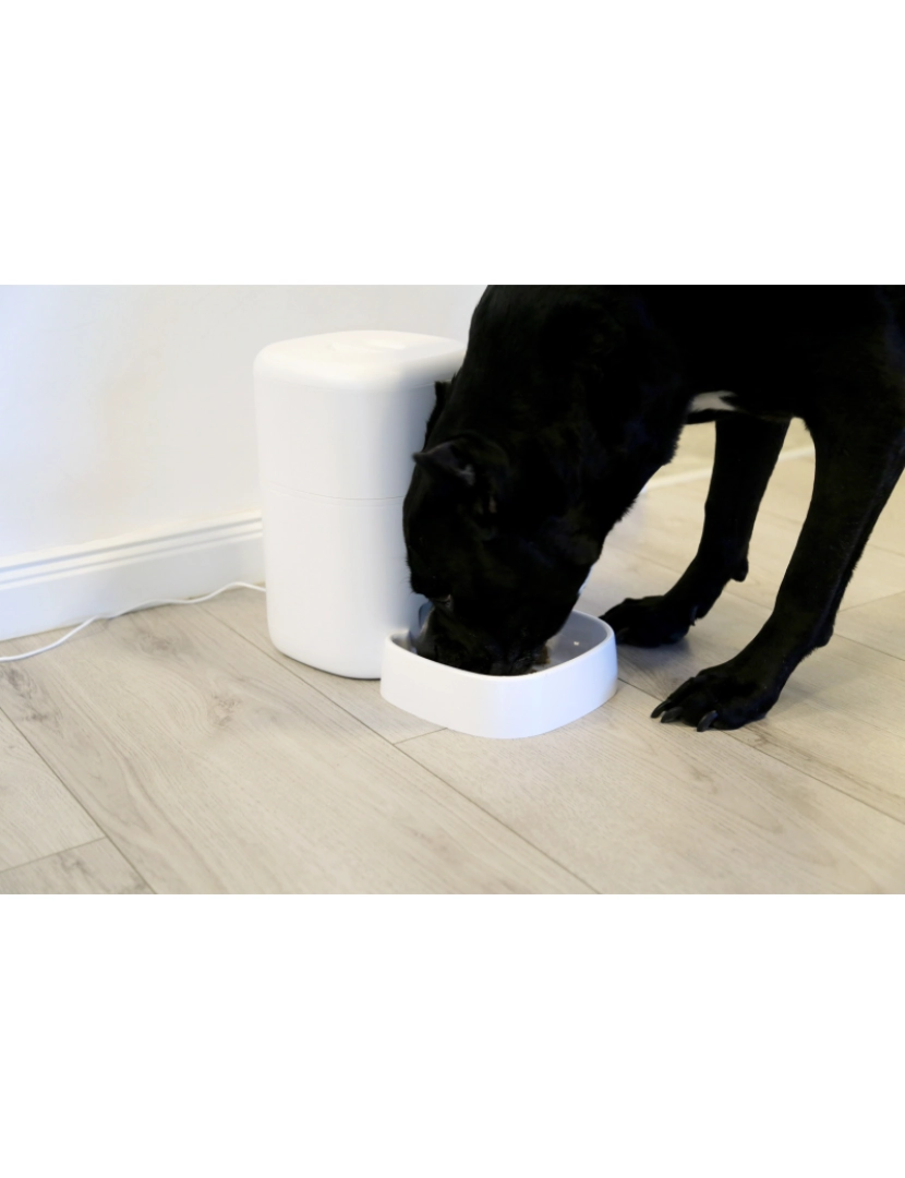 imagem de Alimentador para Animais de Estimação Tellur Smart Wifi Câmera Ultrahd 4L Branco1