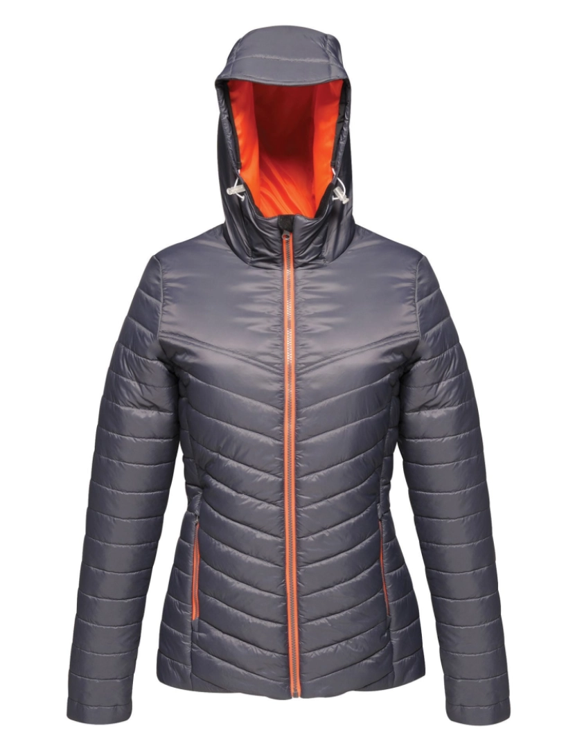 Regatta - Regatta Womens/Ladies Acadia Jaqueta Ii