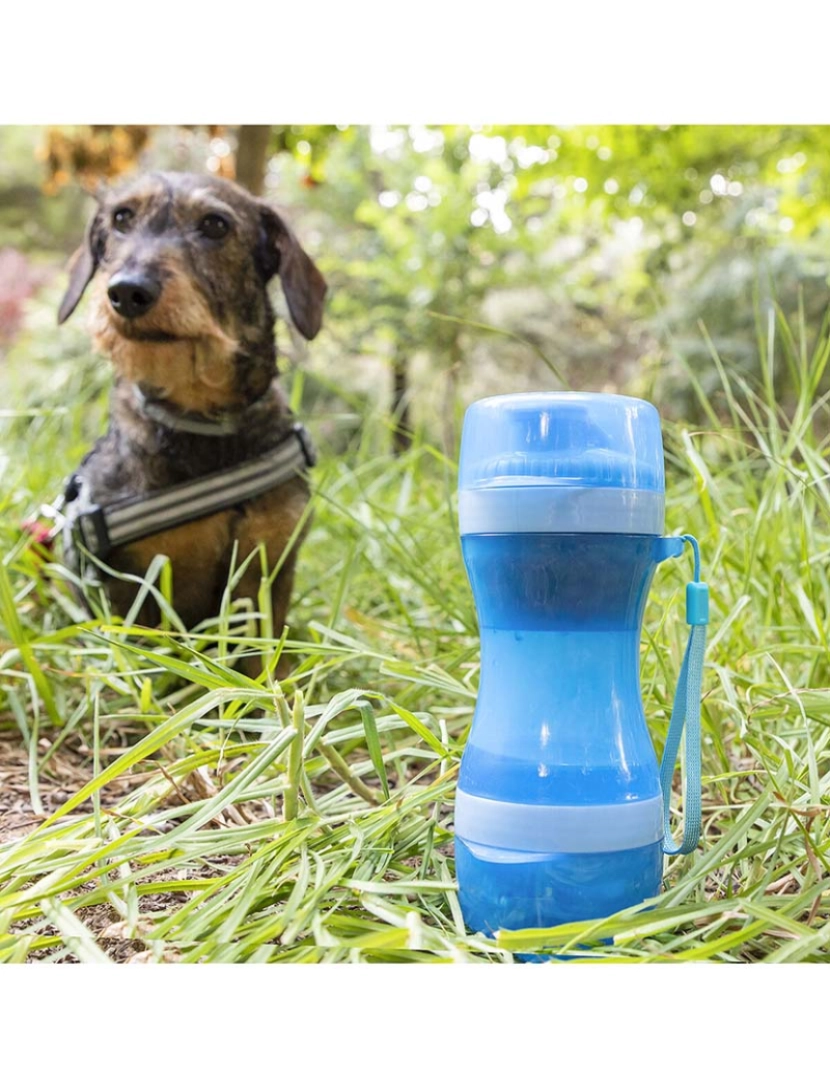 Innovagoods - Pettap InnovaGoods 2 em 1 Garrafa Tanque para Comida e Água para Animais de Estimação