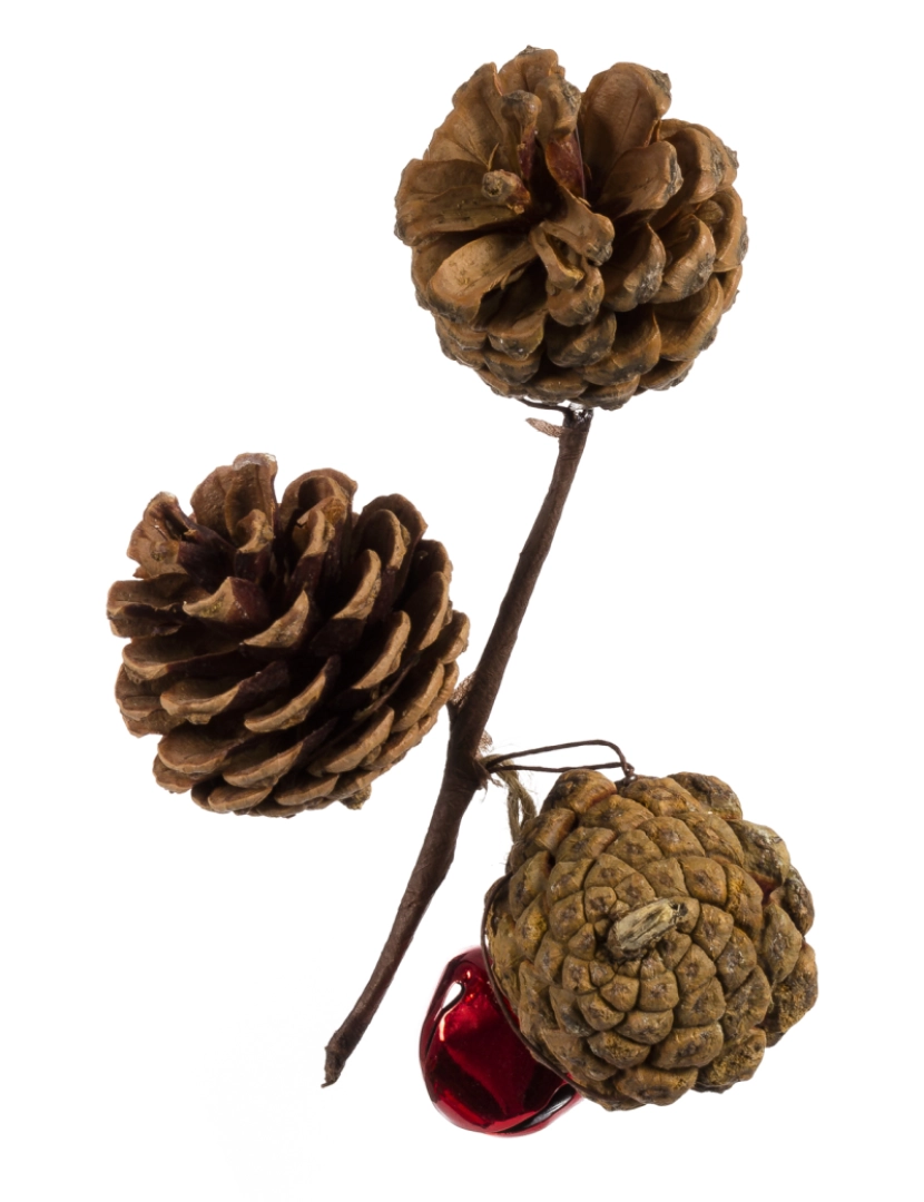 DAM - DAM Bouquet decorativo de Natal , 3 pinhas com sino. 11x6x16 cm. Cor marron