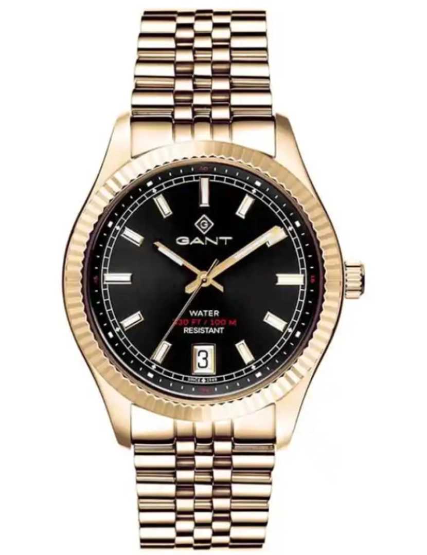 Gant - Disponível Até Final de Outubro - Relógio Gant STF G166004