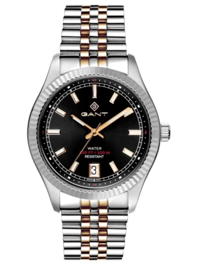 Gant - Disponível Até Final de Outubro - Relógio Gant STF G166009