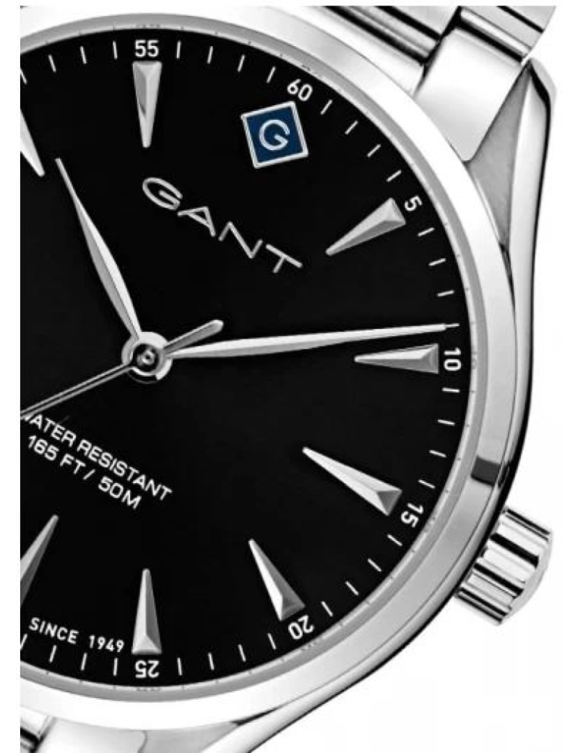 imagem de Relógio Gant STFA G1290022