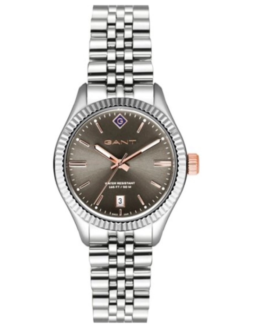 Gant - Disponível Até Final de Outubro - Relógio Gant STF G136007