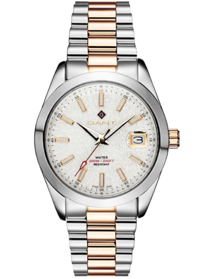 Gant - Relógio Gant STF G163005