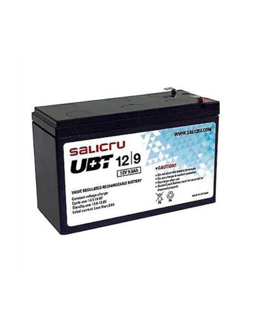 Salicru - Bateria para Sistema Interactivo de Fornecimento Ininterrupto de Energia Salicru 013BS000002 9 Ah 12V