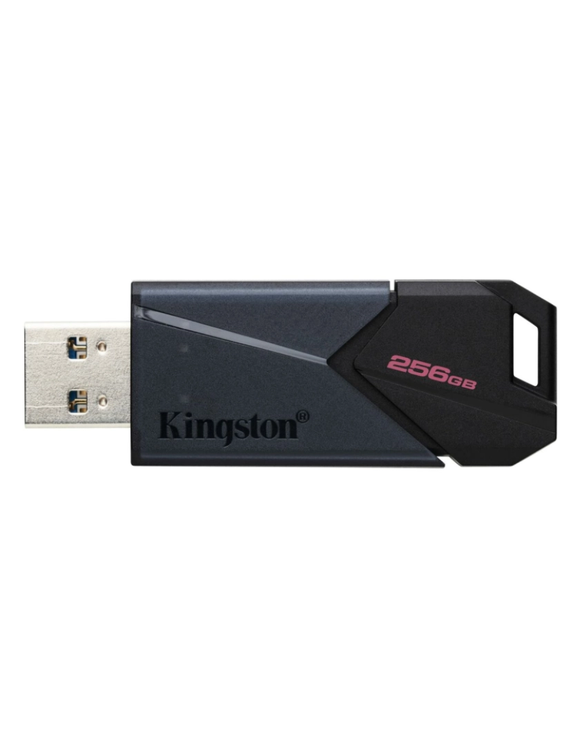 imagem de Memória USB Kingston DTXON/256GB 256 GB2