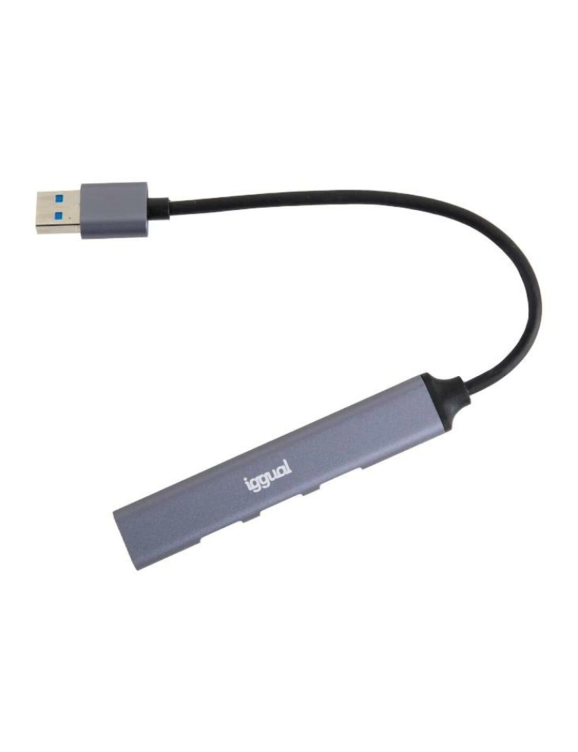 imagem de Hub USB iggual IGG3184543