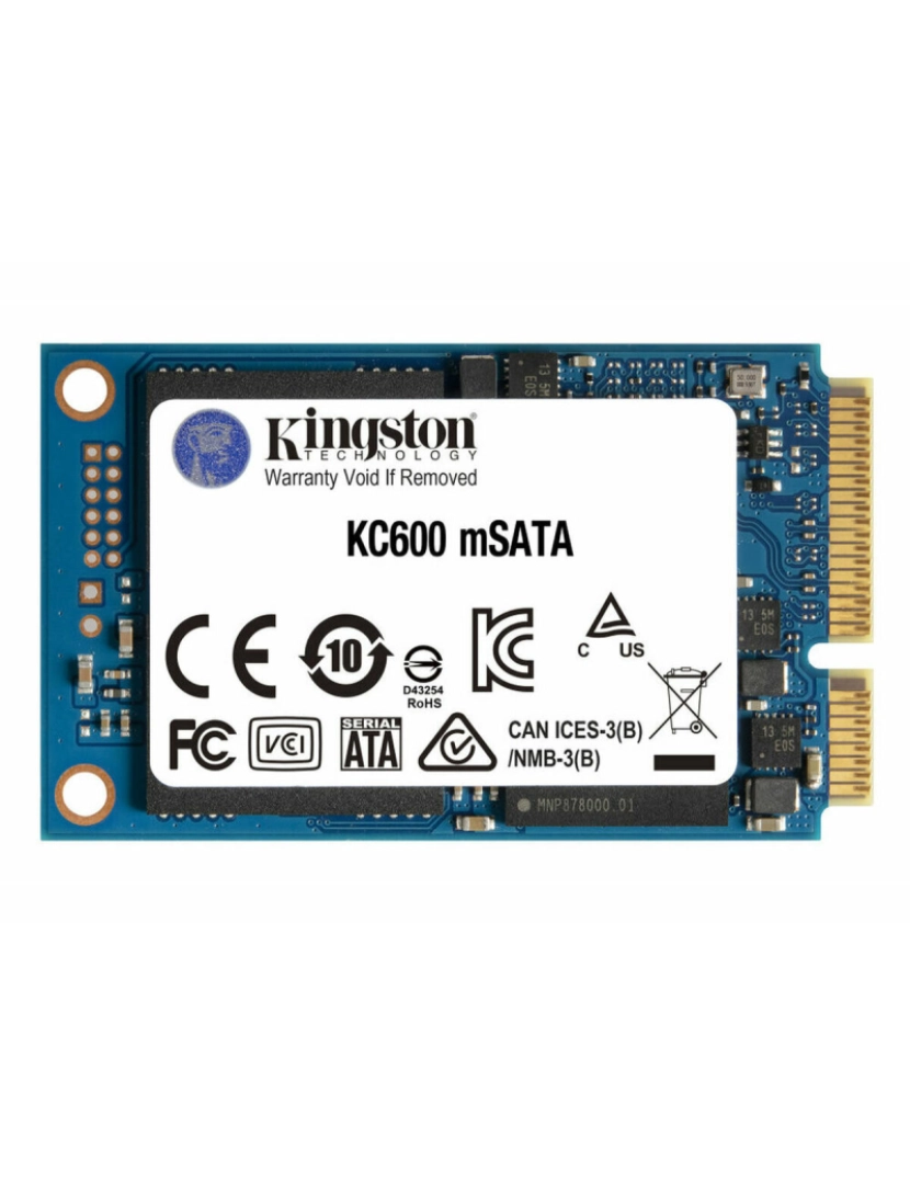 Kingston - Disco Duro Kingston ‎SKC600MS/256G 256 GB SSD (Recondicionado A)