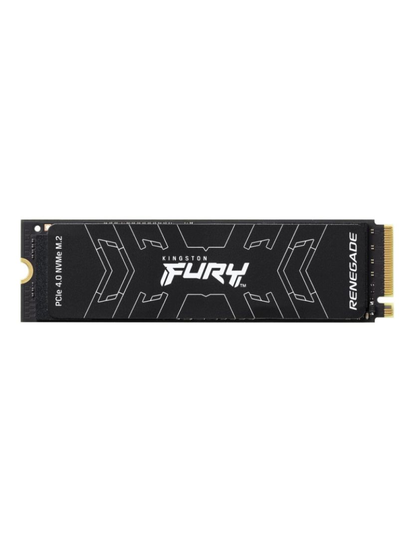 Kingston - Disco Duro Kingston SFYRD/4000G