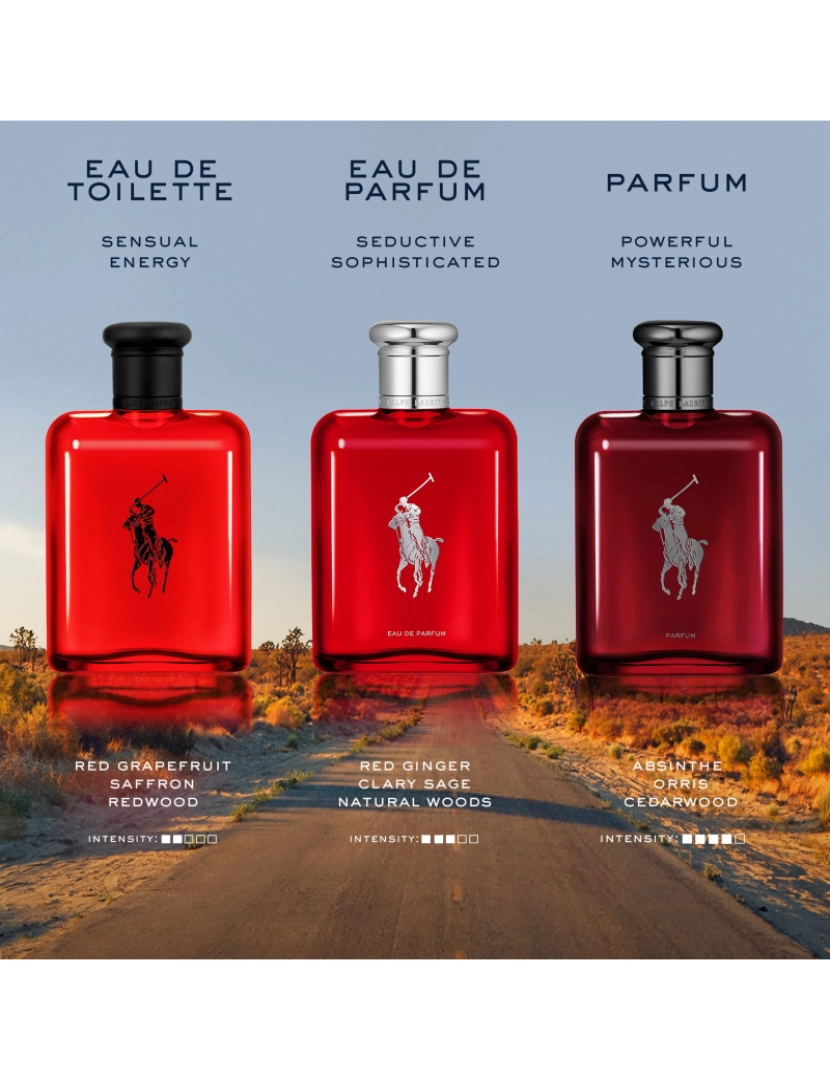 imagem de Perfume Homem Polo Red Ralph Lauren EDT (75 ml) (75 ml)4