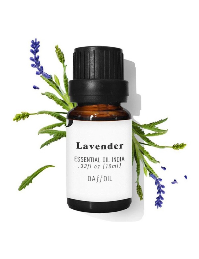 Daffoil - Óleo Essencial Lavander Daffoil 10 ml