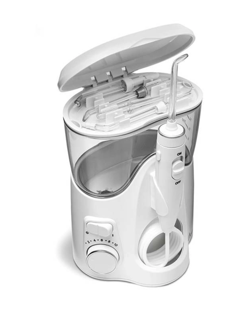 Waterpik - Irrigador Ultra Plus Wp-160 1 U