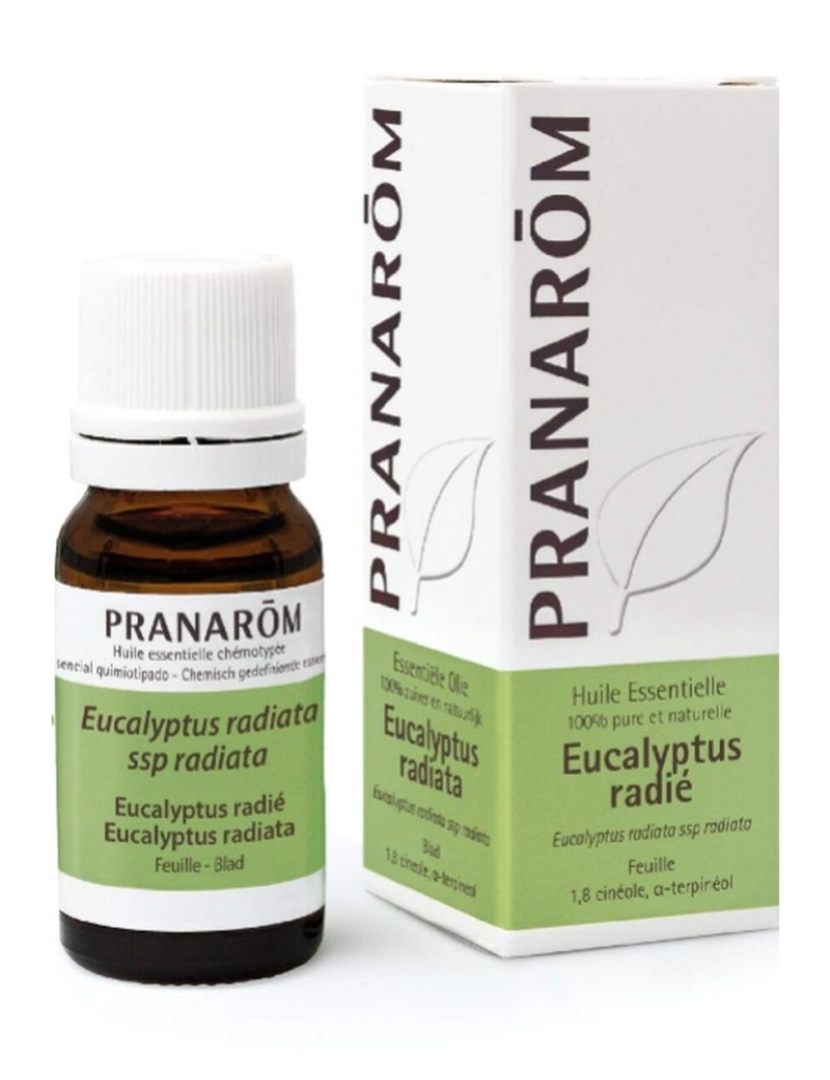 Pranarôm - Óleo Essencial Pranarôm   Eucalipto 10 ml