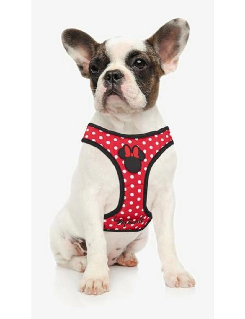 imagem de Arnês para Cães Minnie Mouse XXS/XS Vermelho2