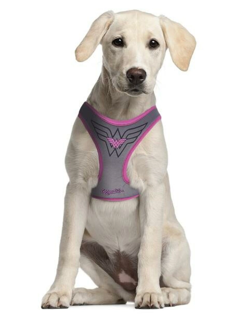 imagem de Arnês para Cães Wonder Woman XXS/XS Cor de Rosa5