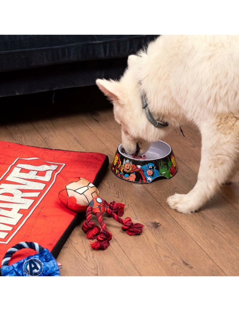 imagem de Comedouro para Cão Marvel 760 ml Melamina Vermelho Metal3