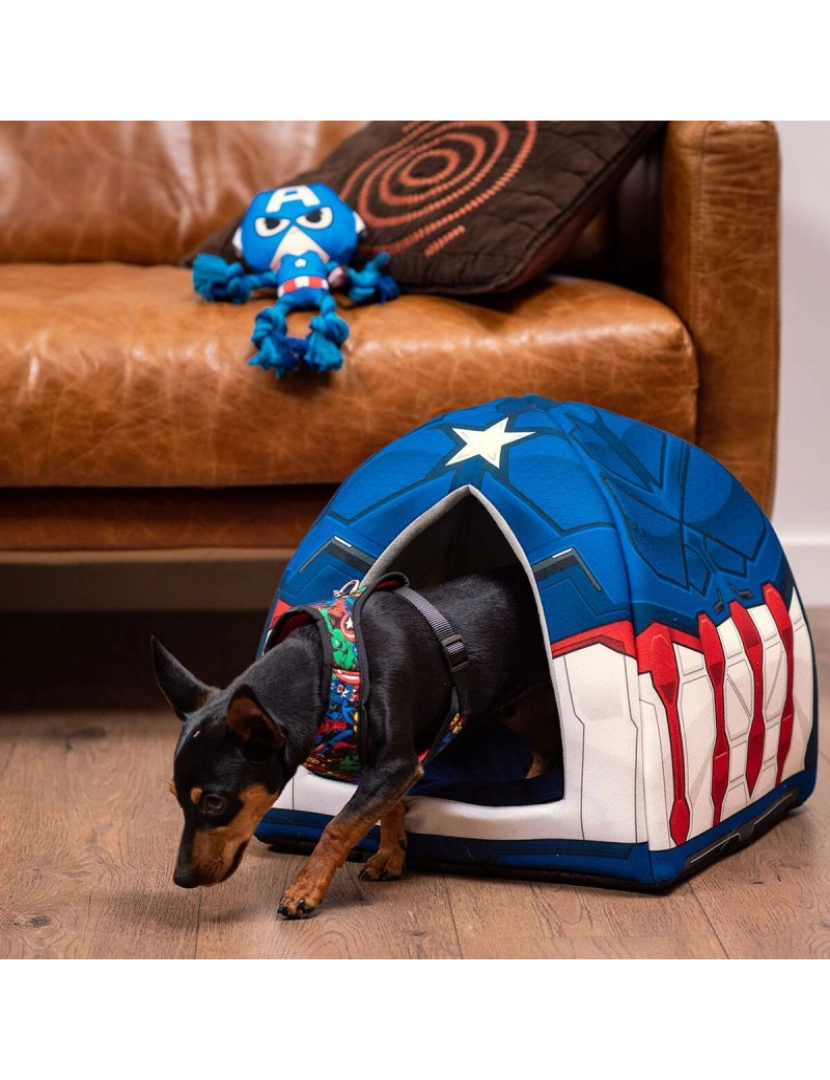 imagem de Brinquedo para cães The Avengers Azul 13 x 10 x 20 cm2