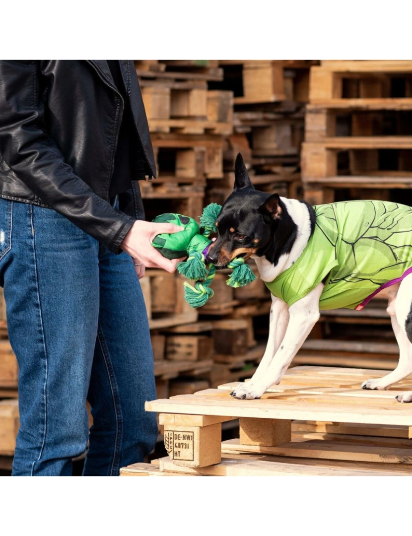 imagem de Brinquedo para cães The Avengers   Verde 100 % poliéster2