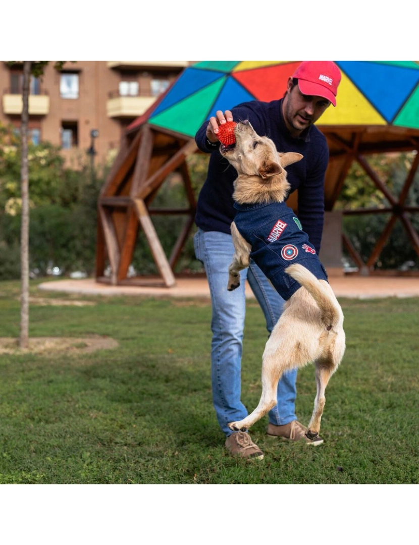 imagem de Casaco para cão Marvel Azul XXS3