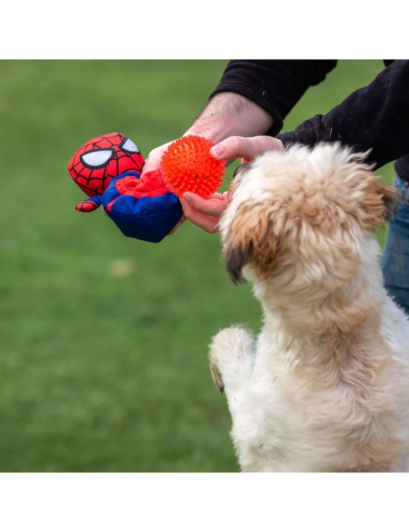 imagem de Brinquedo para cães Spiderman Vermelho5