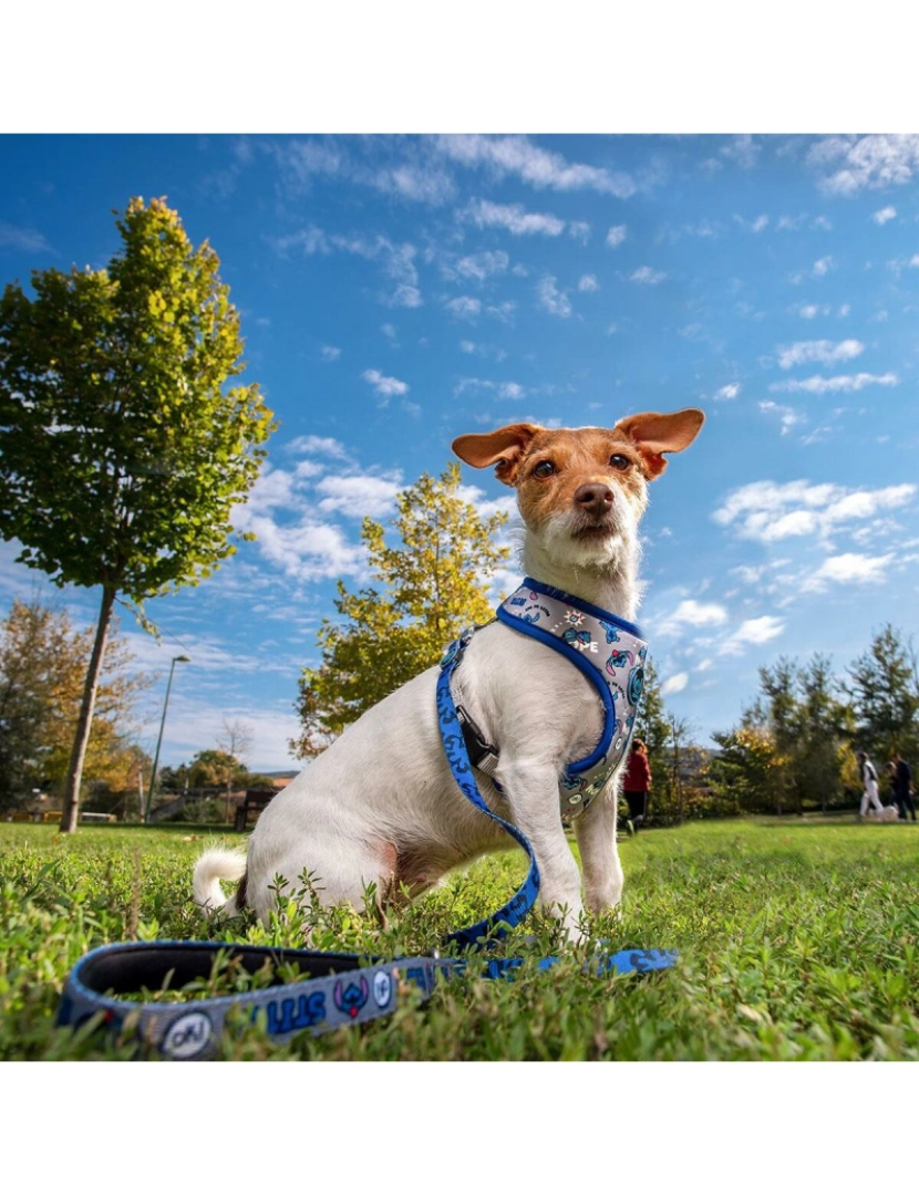 imagem de Arnês para Cães Stitch XXS/XS Azul escuro5