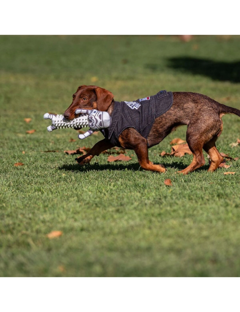 imagem de Casaco para cão Star Wars Cinzento5