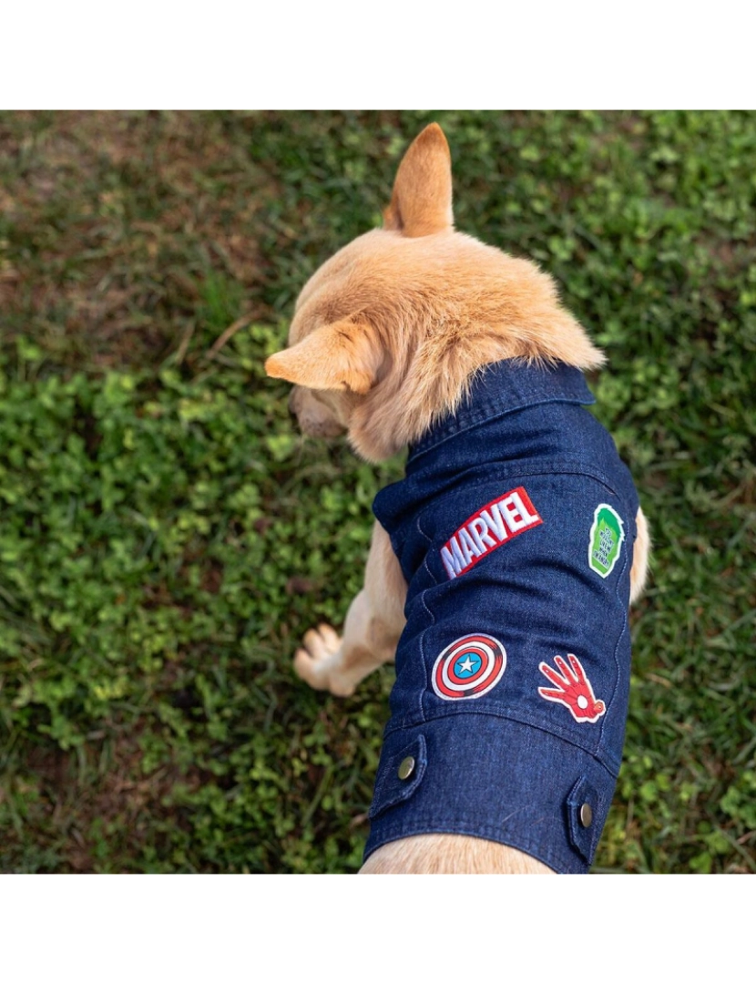 imagem de Casaco para cão Marvel Azul XS5