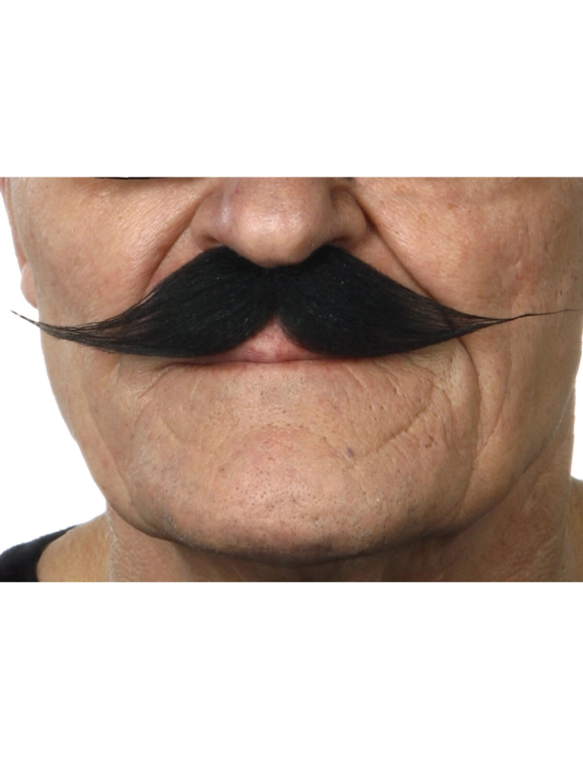 imagem de Bigode My Other Me1