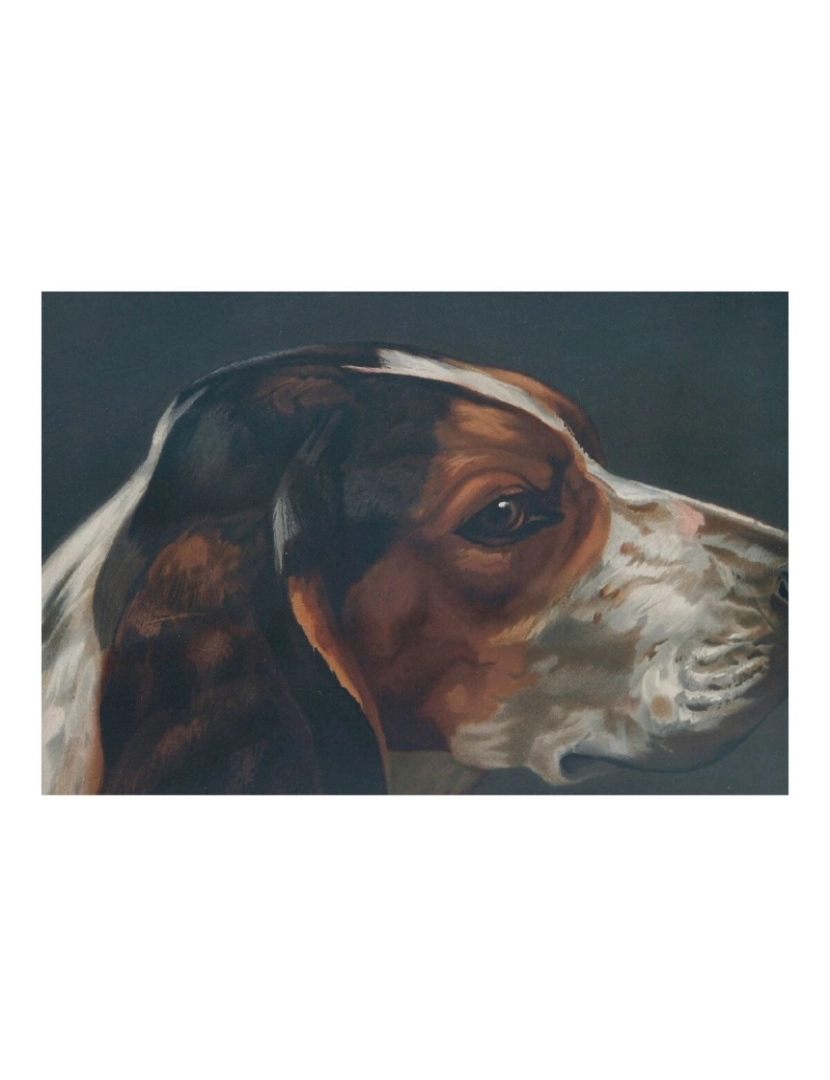 imagem de Pintura DKD Home Decor Dog 38 x 3 x 43 cm Cão (2 Unidades)3