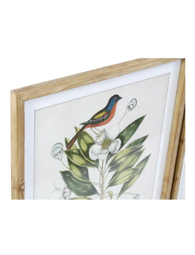 imagem de Pintura DKD Home Decor Bird 55 x 2,5 x 70 cm Tropical Pássaros (4 Peças)2