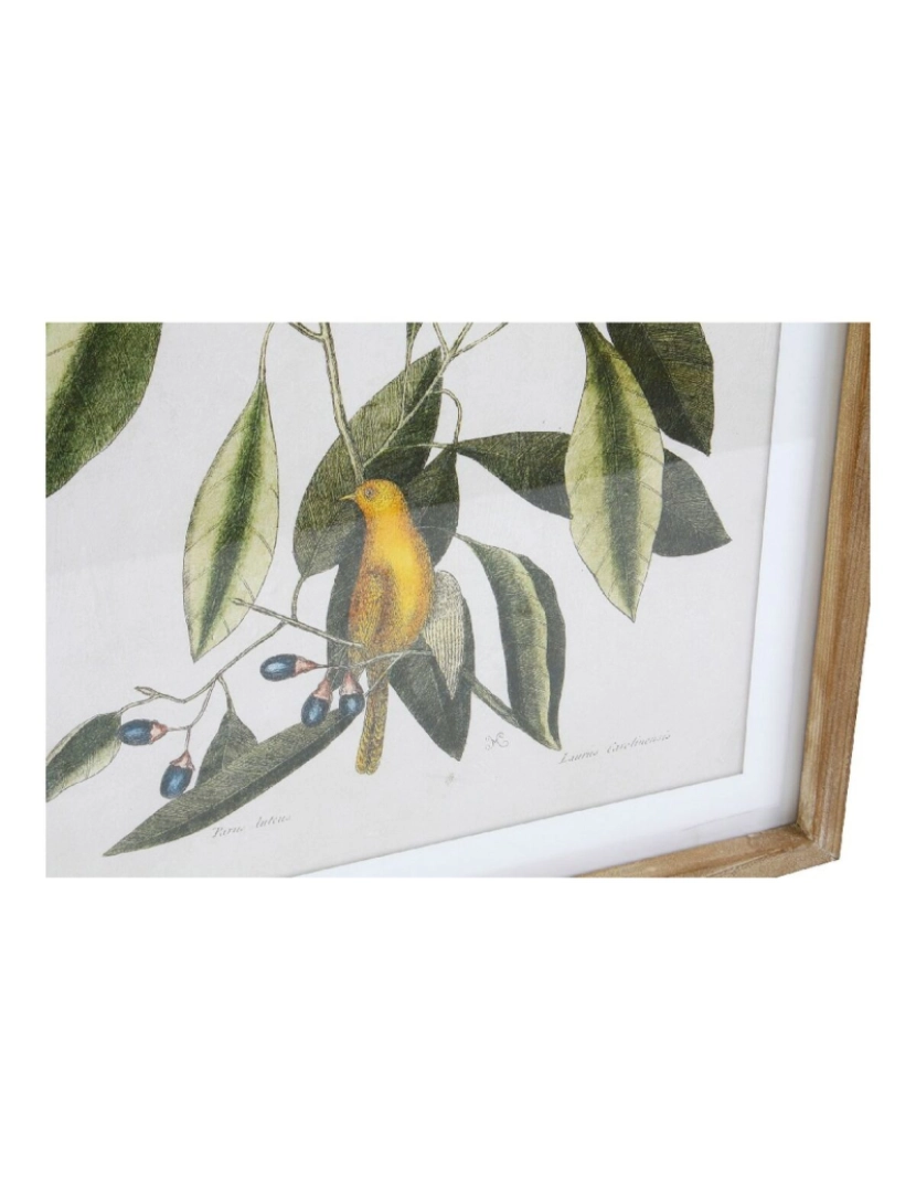 imagem de Pintura DKD Home Decor Bird 55 x 2,5 x 70 cm Tropical Pássaros (4 Peças)3