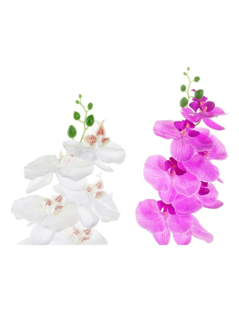 imagem de Planta Decorativa DKD Home Decor 8424001819430 21 x 21 x 82 cm Lilás Branco Orquídea (2 Unidades)2