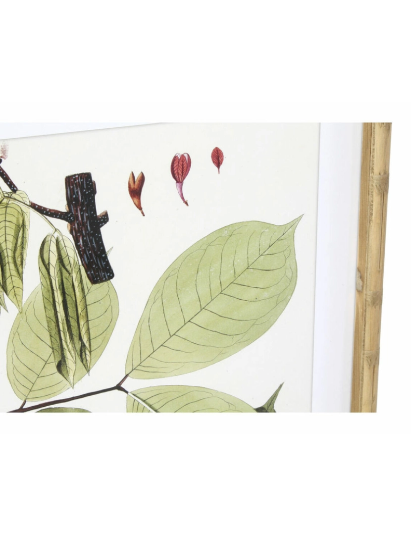 imagem de Pintura DKD Home Decor 50 x 2,8 x 70 cm Moderno Plantas botânicas (6 Peças)3