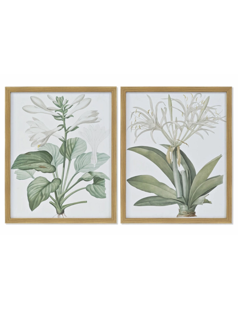 imagem de Pintura DKD Home Decor 43 x 3 x 53 cm Plantas botânicas (2 Unidades)1