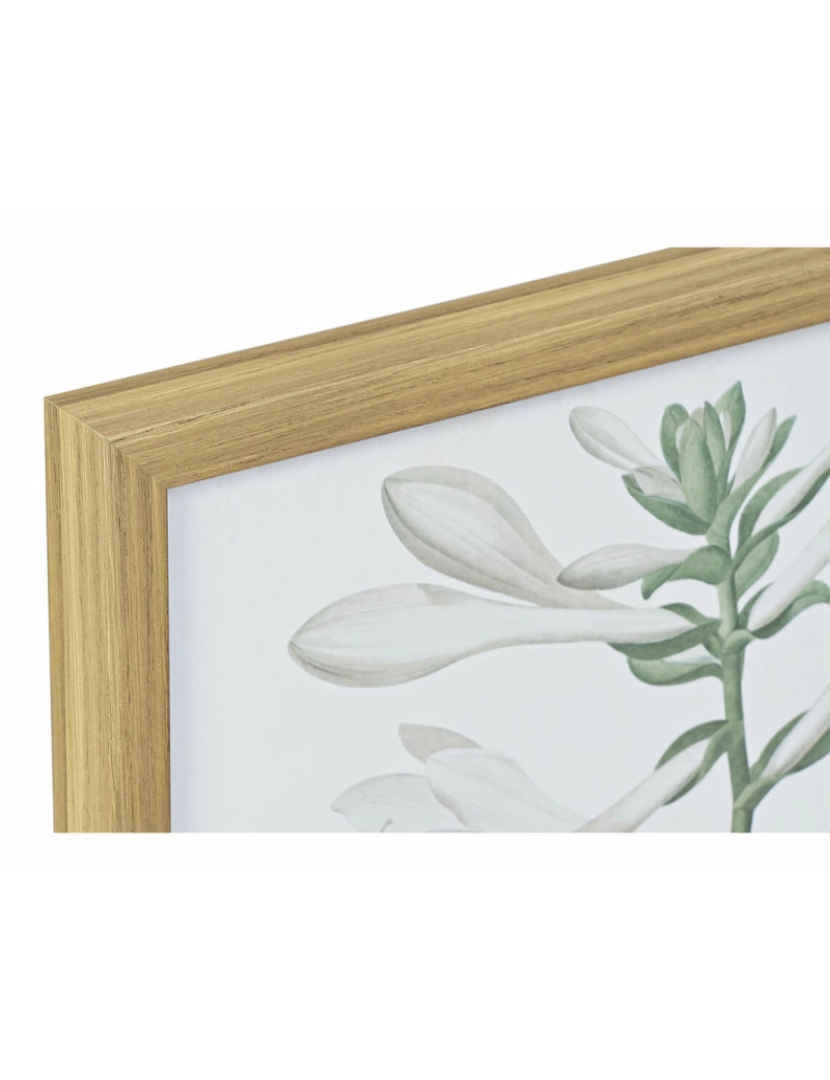 imagem de Pintura DKD Home Decor 43 x 3 x 53 cm Plantas botânicas (2 Unidades)2