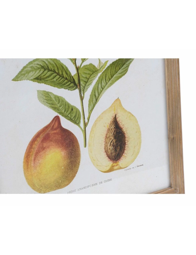 imagem de Pintura DKD Home Decor Moderno Fruta 45 x 2 x 60 cm (6 Peças)2