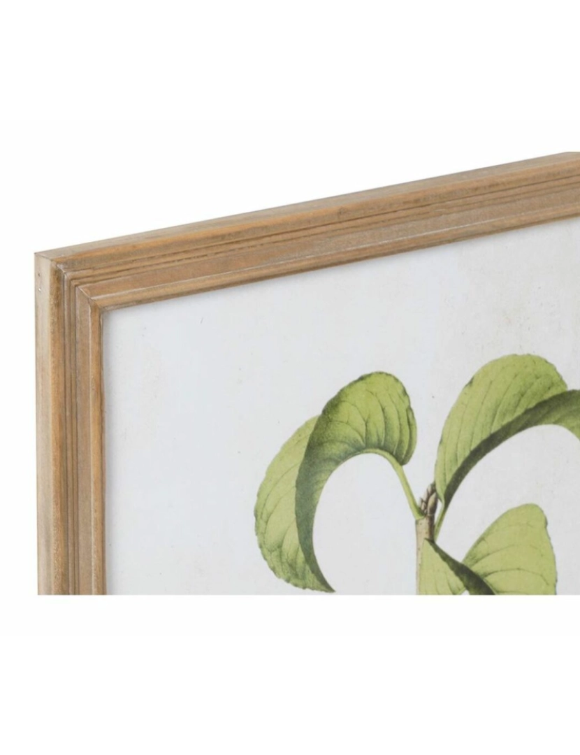 imagem de Pintura DKD Home Decor Moderno Fruta 45 x 2 x 60 cm (6 Peças)3