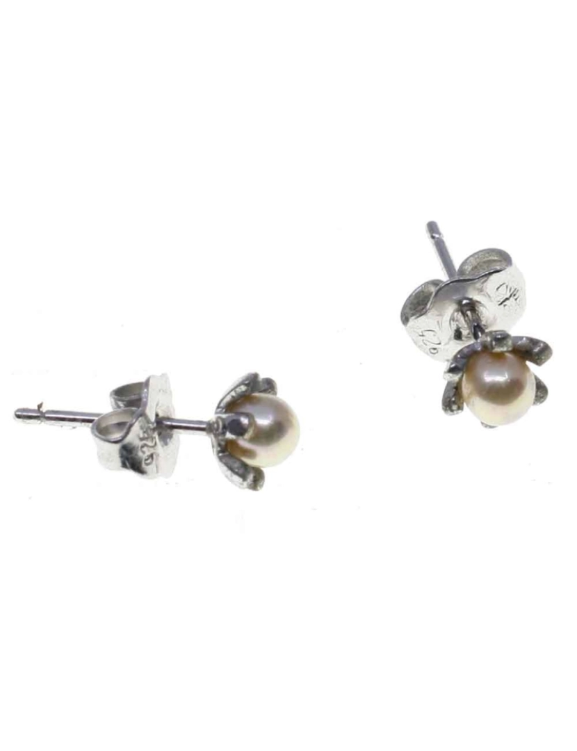 imagem de Pendientes Orquidea 39809 Perla Plata2