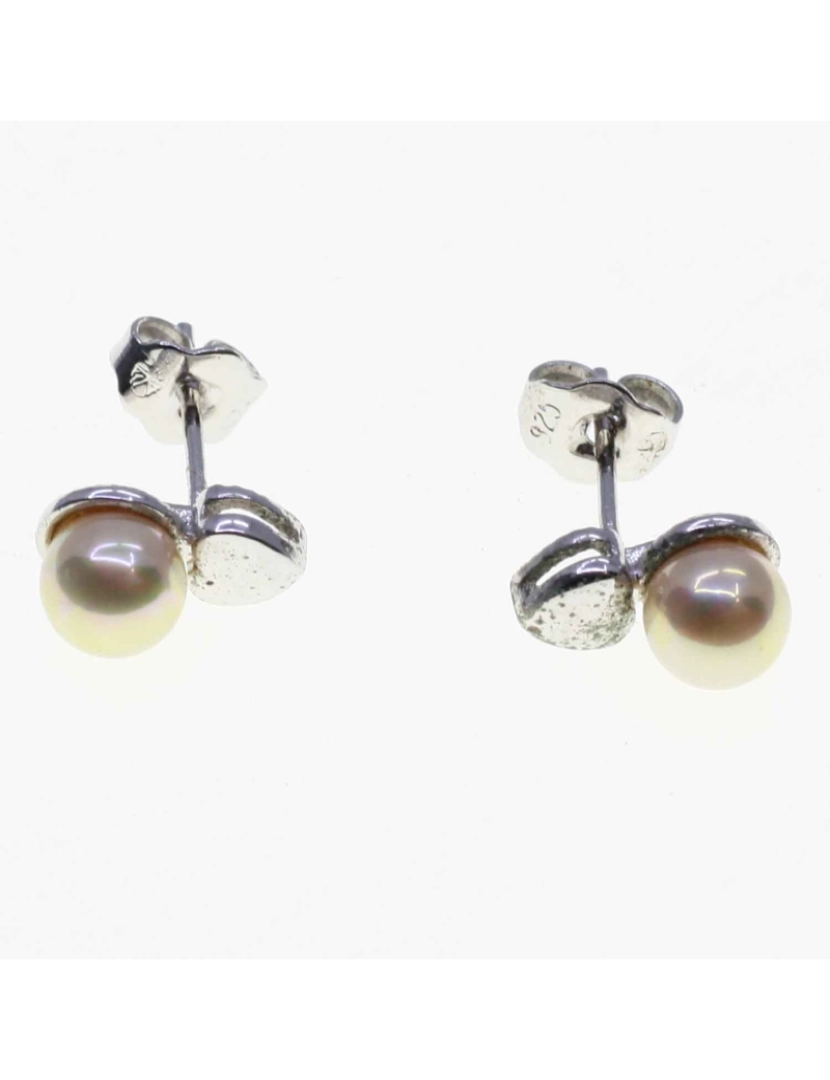 imagem de Pendientes Orquidea 61023 Perla Plata3