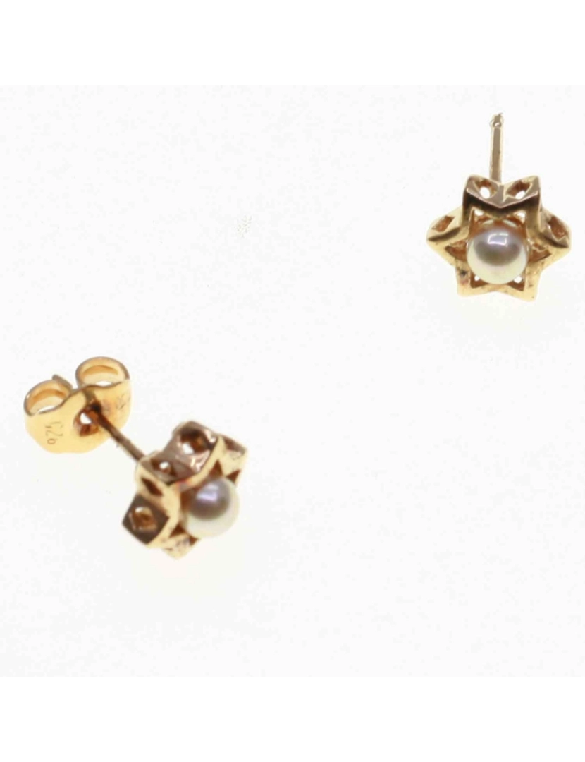 imagem de Pendientes Orquidea Oq-60974 Perla Chapado3