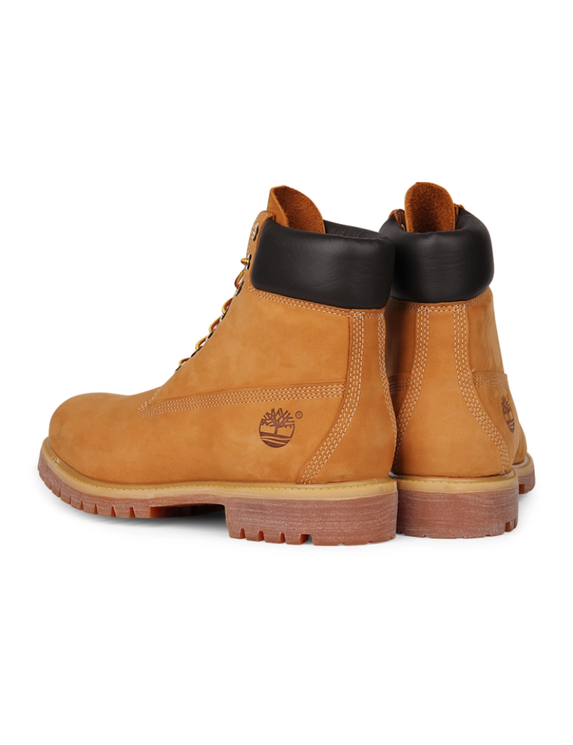 imagem de Timberland 6-Inch Boot Bege5